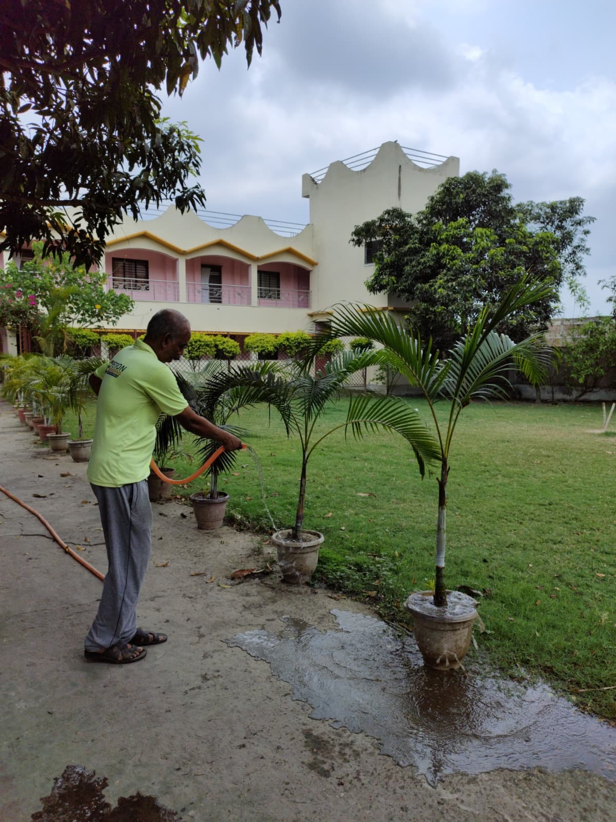Gallery image 11